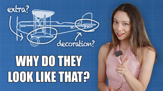 Why Do Airplanes All Look the Same?