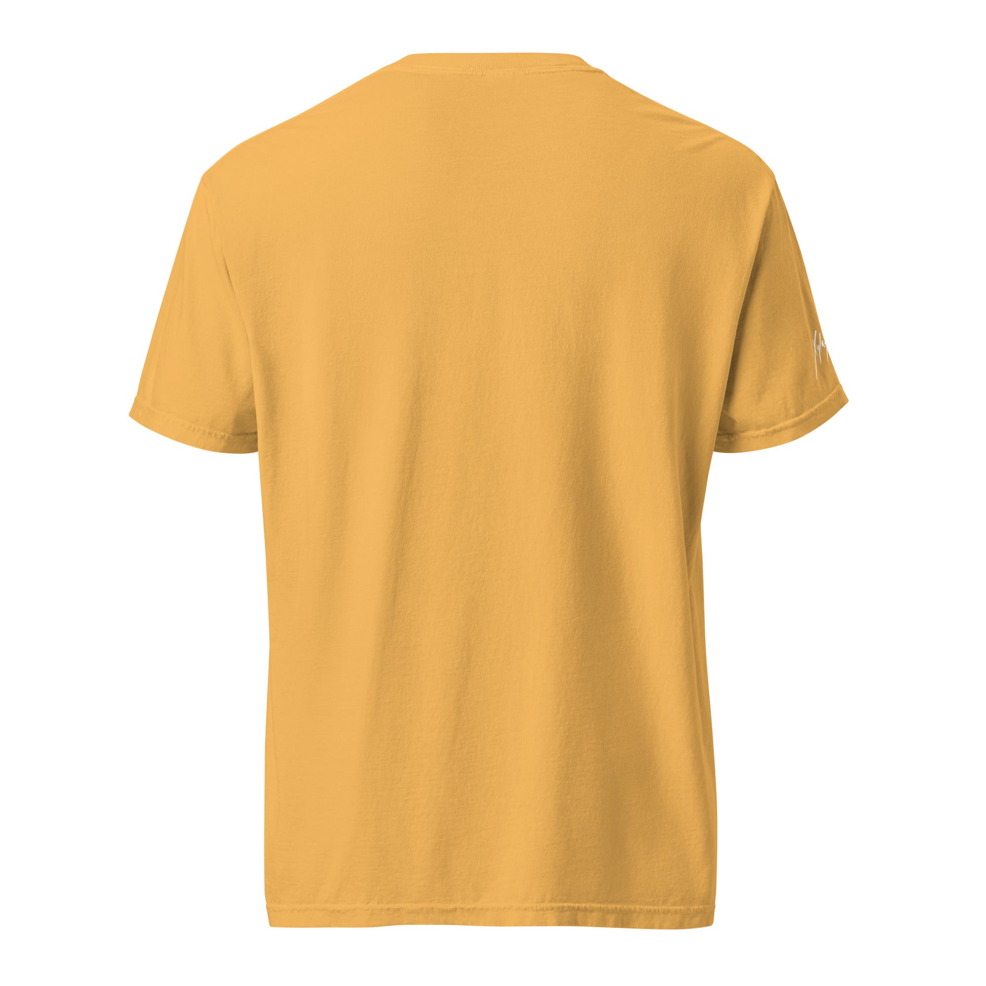 Plaaane Parts Shirt – Xyla Foxlin
